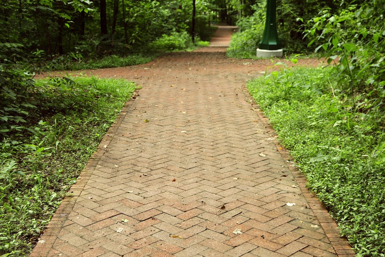 Brick path on a college campus