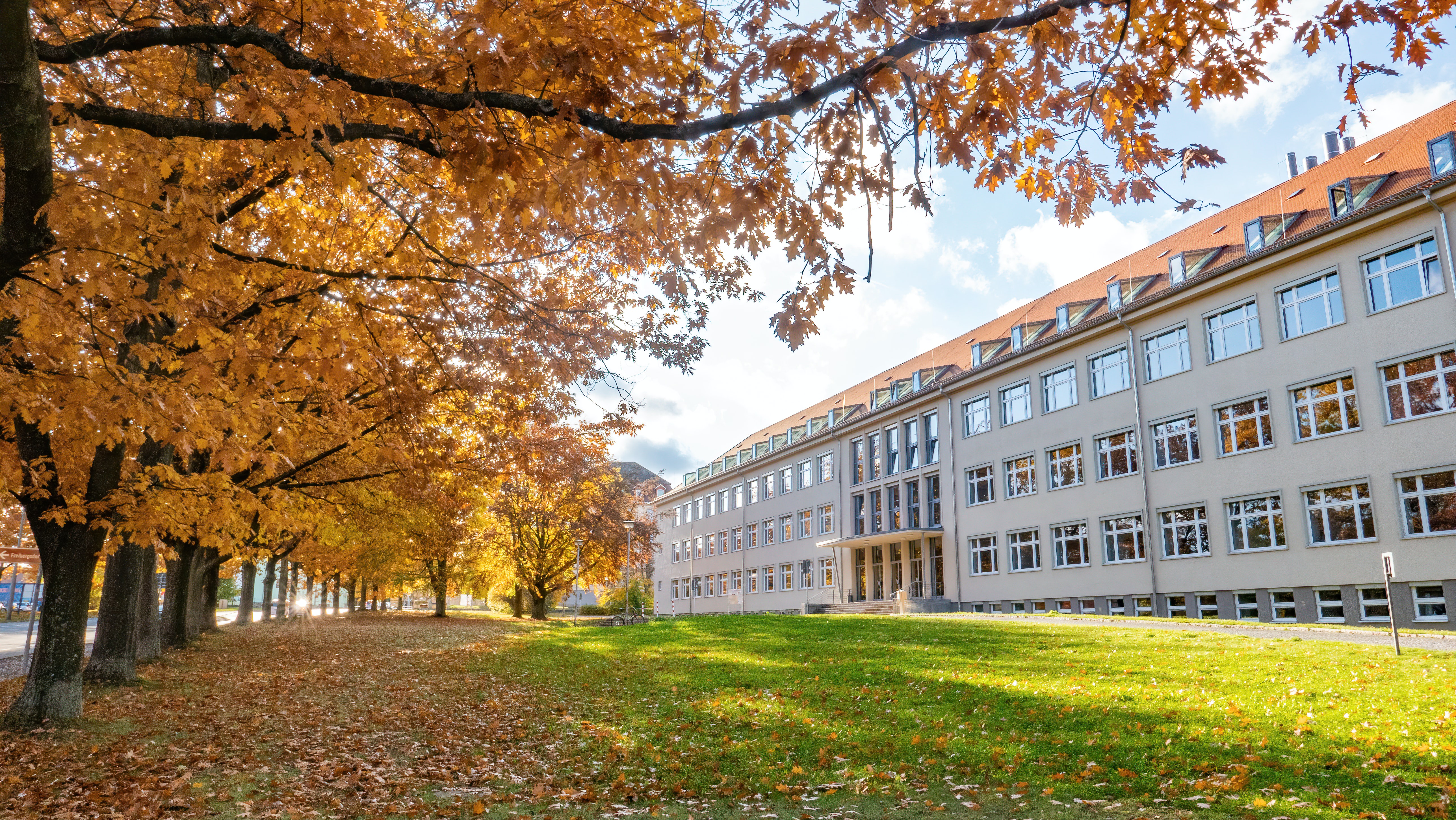 Research institute with golden fall leaves