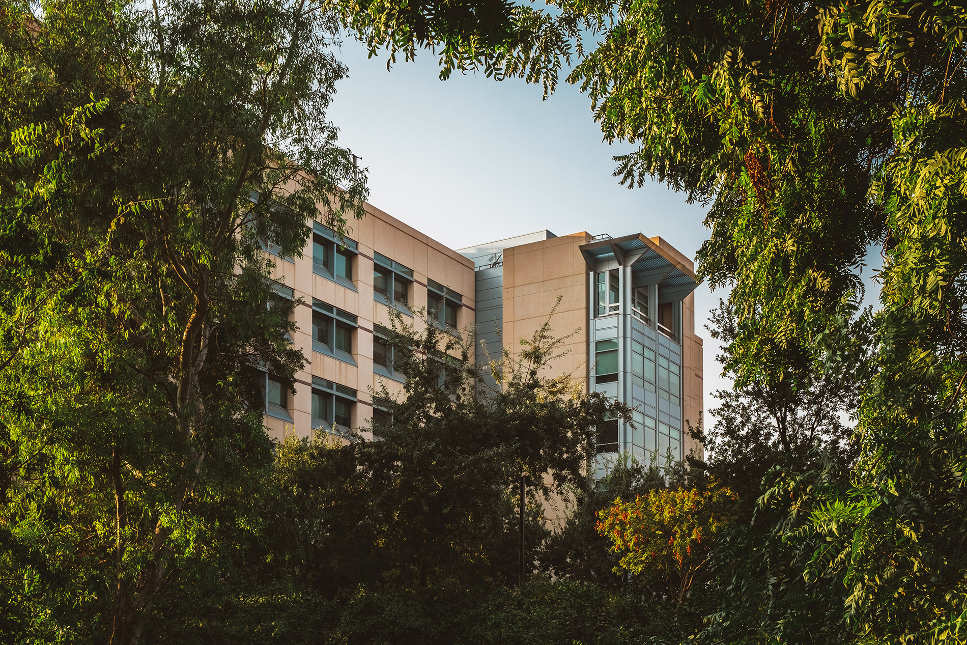 Univesrity campus building through trees, UC Davis if you want to know