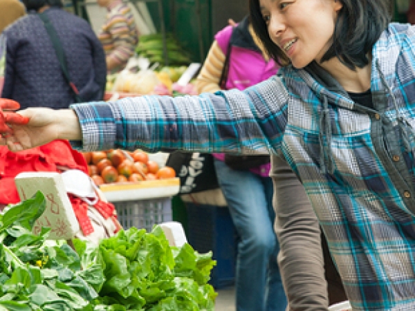 Woman picking fruit image