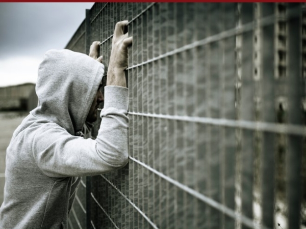 The New Scarlett Letter book image