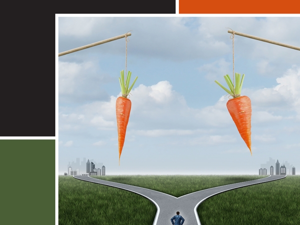 Making Sense of Incentives