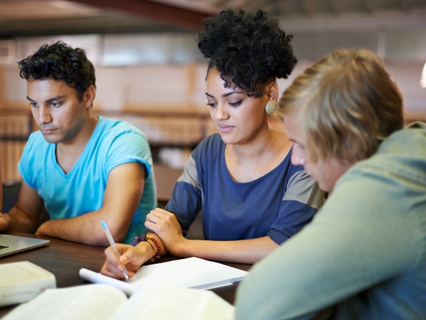 Mixed gender group of MBA students studying