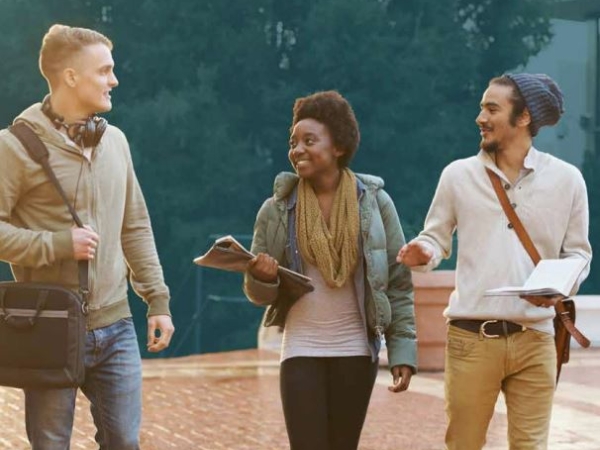 Free College Handbook