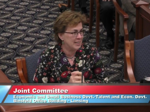 Michelle Miller-Adams testifies before the Michigan Senate on debt-free community college Promise scholarship programs