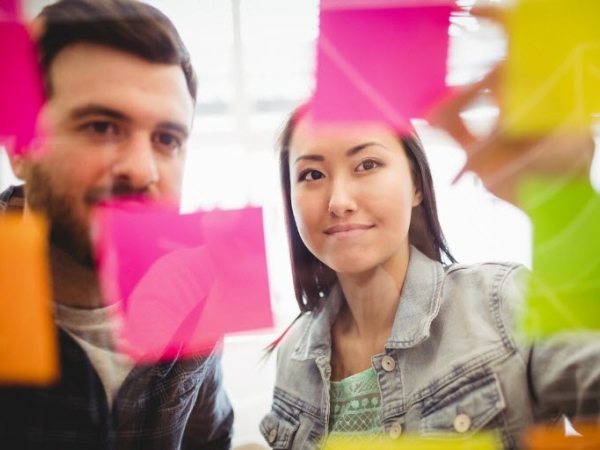 Workers examine sticky notes