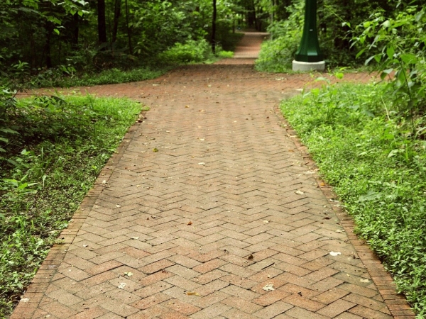 Brick path at college