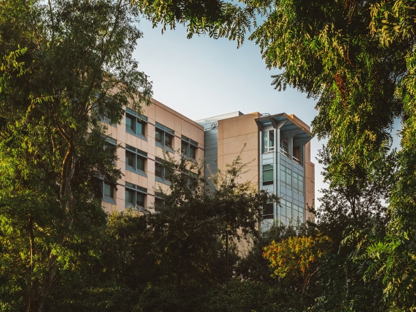 Univesrity campus building through trees, UC Davis if you want to know